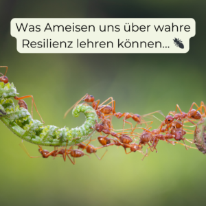 Resilienz stärken durch Stressbewältigung und gesunde Lebensführung